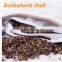 Nature buckwheat health pillow