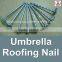 china 1 Lb. Electro Galvanized Umbrella Roofing Nail