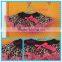 wholesale halleween orange costumes,anmial pattern tutu set ,tutu set for girl,satin zebra set,girls tutu dress skirt