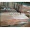 4*7 feet plywood okoume face veneer