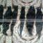 5A grade natural straight virgin Indian Remy Hair weaves directly from India