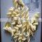 Fried Pellet Chips Pasta Plant making machine