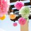 Wholesale Factory Supply Colorful Party Tissue Paper Pom Poms For Party Decoration