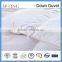 80% White Goose Down Duvet Warm quilt Soft quilt Light quilt