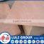 natural wood veneer commercial bintangor plywood