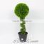 New product for decoration artificial pottde plant with led light bonsai from China supplier