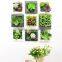 decor wall plants artificial succulent plants on photo frame