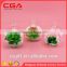 simulation tree plants indoor plants potted Hotel wholesale home decoration simulation glass ball