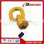 DS303 Multi-Directional Lifting Swivel G80 Eye Bolt