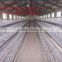 TUV certificated galvanized A type layer chicken cage