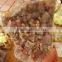 Fantastic Natural Crystal Rock Clear Crystal Geodes Quartz Crystal Cluster for Wholesale