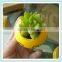 small ceramic cartoon face flower pot with face design planter bosai pot
