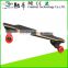 Canadian Maple Material and Electric Skateboard Type High Quality Electric Longboard 1800w