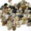 Natural River Stone Pebble for Landscaping