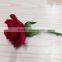 wholesale artificial real touch red rose head flower for wedding centerpiece