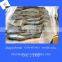 good quality sardines
