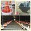 Poultry Automatic Feeding System for Broiler