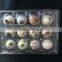 OUCHEN high quality quail egg cartons egg tray for sale