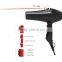OEM FACTORY salon use professiomal best AC motor hair dryer