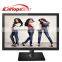 widescreen wall mount desktop dc12v 18.5" computer lcd monitor