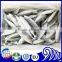 Whole Small eye Horse Mackerel frozen fish round scad