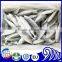 Frozen Small eye horse mackerel Decapterus Maruadsi for sale