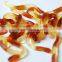 Health Food Custom Snake Shape Gummy Candy