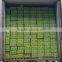 Vietnam Fresh Seedless Lime