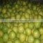 2016 Hot sale Honey pomelo 12kg/ctn