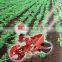 Light and useful push seeder for various vegetables Made in Japan