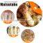 Wild Matsutake Organic Mushroom With Good Quality