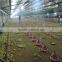 Poultry equipment/Broiler farm/Chicken pen