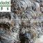 All Types of Seafood Dried Seaweeds,hot Sale Kelp,dried Laminaria,seaweed Price Raw Kelp,dried Kale