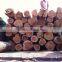 teak wood from laos