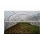 hdpe shade net/ agricultural insect net