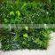 Artificial plants blocks for wall hanging decoration