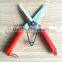hand tool/pruner scissors/pruning shears trees/chromed fruit scissors