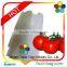 Fruit Growing Bag for Agriculture Tomato Bag