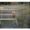 Shade Mesh for Agriculture