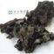 SELL BLACK FUNGUS