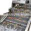 Fruit and vegetable washing and drying machine/Pouches washing and drying line