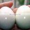 boiled egg peeling machine , hard boiled egg peeler machine