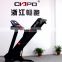CIAPO Home Exercise Fitness Equipment Folding Incline with New Design Treadmill