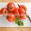 100% virgin HDPE plastic vegetable cutting board / chopping boards