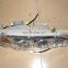 Various Golden Dragon bus models led bus headlight for sale