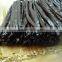 hot sale top quality madagascar sambava vanilla beans
