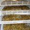 Commercial Food Dehydrator /Pasta Drying Machine for Noodle/ Vegetable Fruit dryer machine