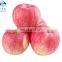 New crop 2020 Delicious Fresh Sugar Fuji Apples