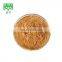 Natural Cosmetics Supplement 10:1 20:1 Gotu Kola Extract Powder