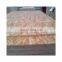 12mm  OSB-3 E0 Grade,WBP Glue,Moistureproof for Home Decoration